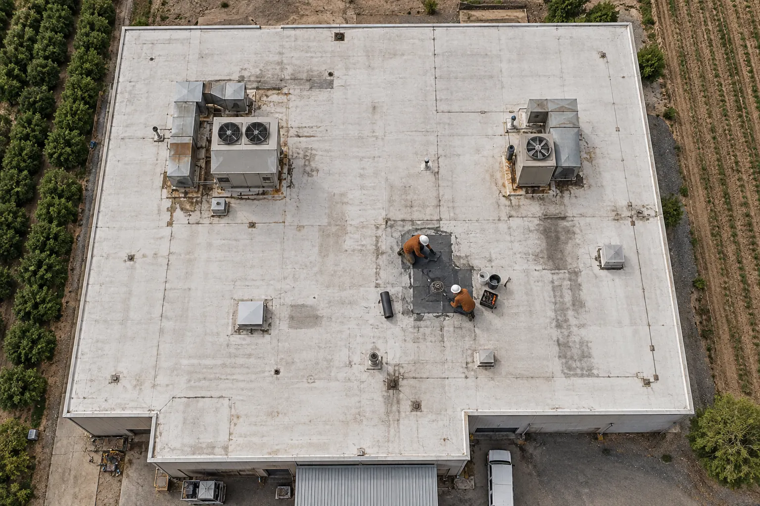 Aerial view of a flat commercial roof beside an orchard with two roofers patching around a drain